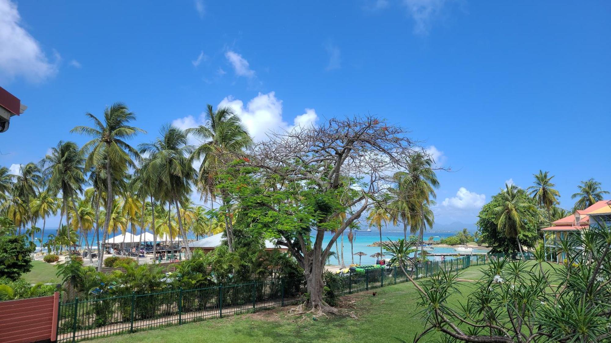 Appartement Edenoa/Vue Mer/ Plage/Piscine Le Gosier  Exterior foto